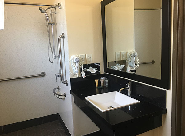 roll-in shower with grab bars and lowered sink in accessible bathroom